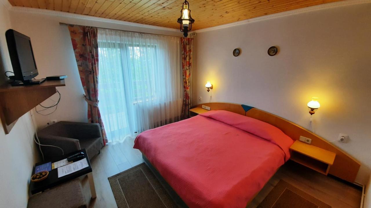 Casa De Vacanta Two Brothers Concept Păltiniş Esterno foto