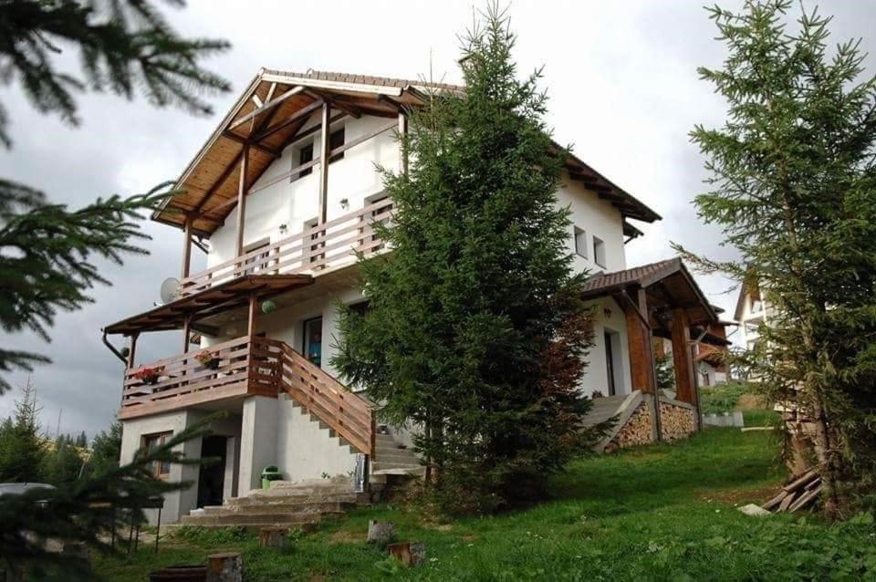 Casa De Vacanta Two Brothers Concept Păltiniş Esterno foto