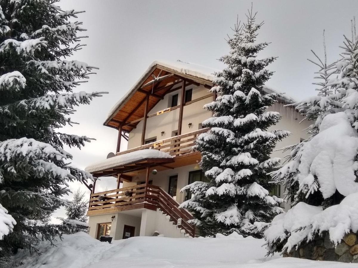 Casa De Vacanta Two Brothers Concept Păltiniş Esterno foto