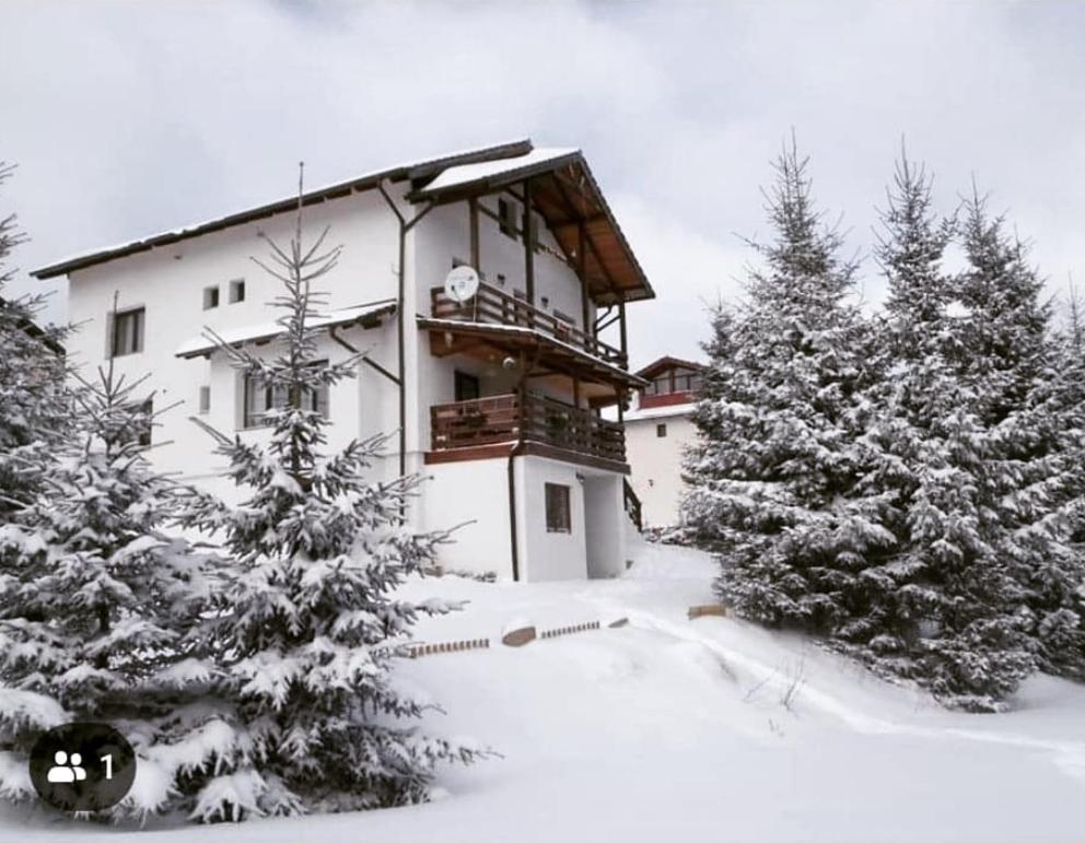 Casa De Vacanta Two Brothers Concept Păltiniş Esterno foto