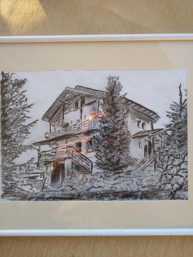 Casa De Vacanta Two Brothers Concept Păltiniş Esterno foto