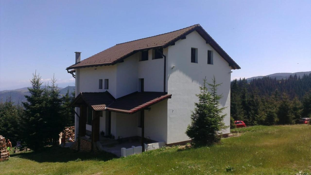 Casa De Vacanta Two Brothers Concept Păltiniş Esterno foto